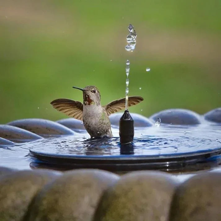 The Solary Fountain™